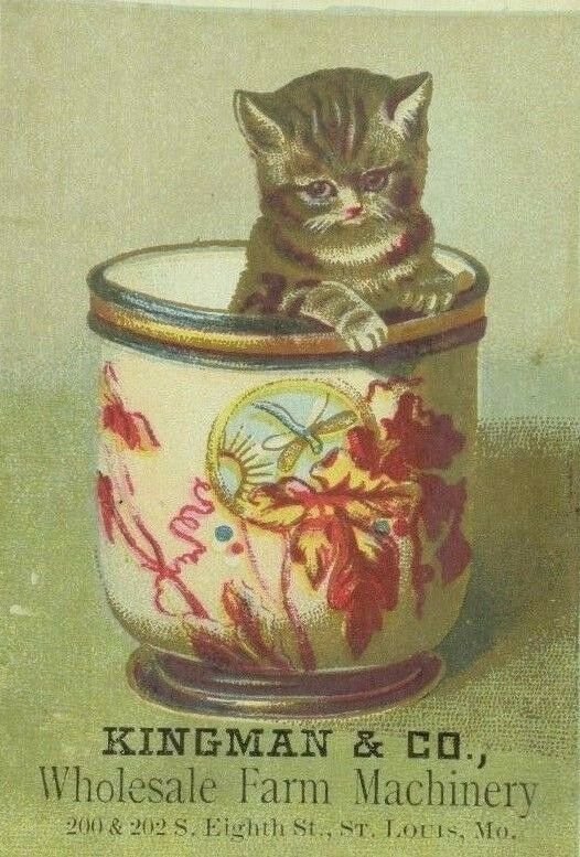 1880's Kingman & Co. Farm Machinery Adorable Kitten In Asian Tea Cup P92