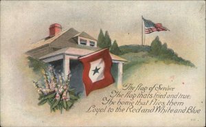 PATRIOTIC Home Flying American Flag of Service c1910 Postcard