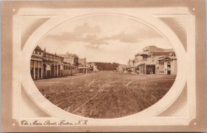 Foxton New Zealand The Main Street NZ #861 E. Hussey Series Postcard H52