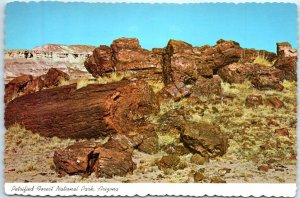 Postcard - Fallen Giants, Petrified Forest National Park - Arizona