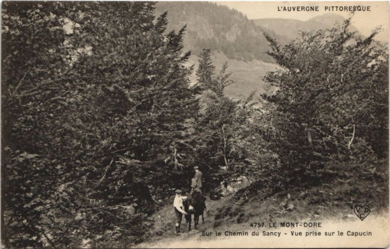 CPA Le MONT-DORE-Sur le Chemin du SANCY-Vue prise sur le Capucin (46565)