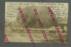 North Branch MINNESOTA RPPC 1908 DEPOT Train Station EXAGGERATION POTATO NP RR