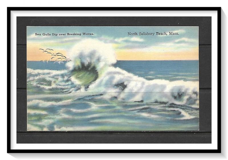 Massachusetts, North Salisbury Beach - Sea Gulls - Breaking Waves - [MA-450]