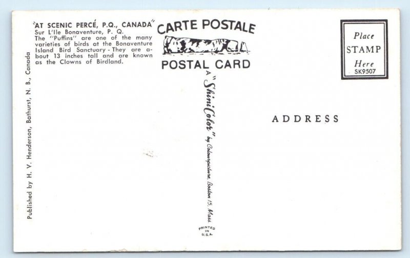PERCE Puffins P.Q. CANADA Postcard