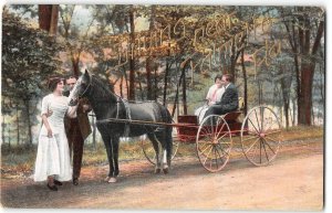 Driving near Palmetto, Florida Horse Carriage Romantic 1910 Antique Postcard
