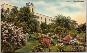 Calart's Rear Gardens California Artificial Flower Co Providence RI Postcard I19