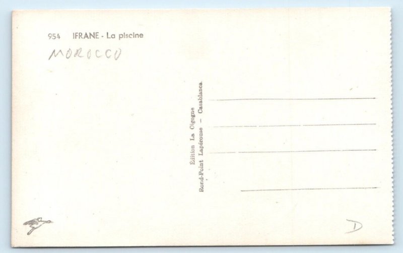 RPPC IFRANE La Piscine Pool MOROCCO Postcard