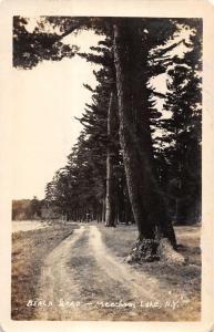 Meacham Lake New York birds eye view Beach Road real photo pc Y11223