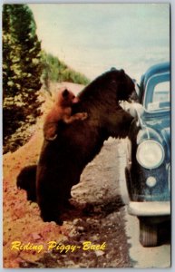 Vtg Canada Bear & Baby Cub Riding Piggy Back 1950s Car Canadian Rockies Postcard