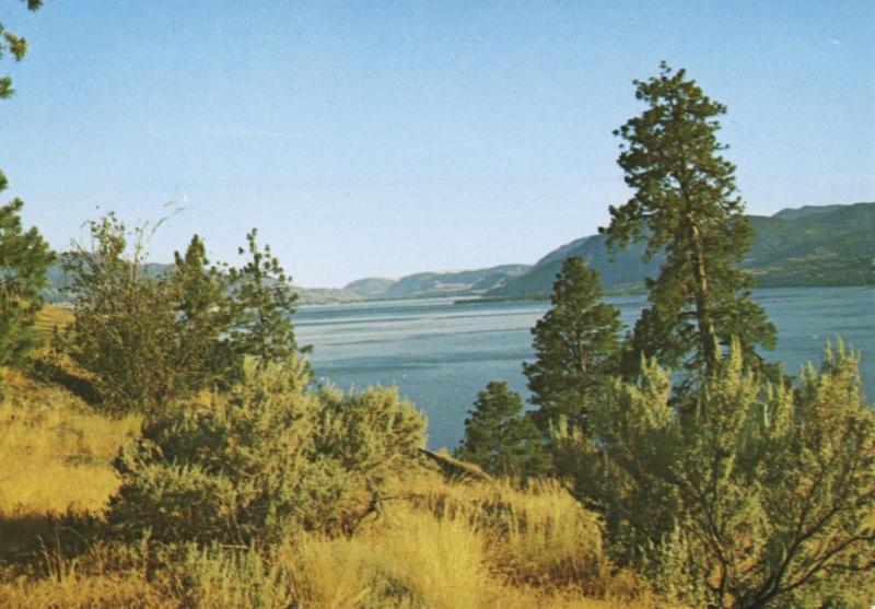 Okanagan Lake BC Near Naramata Penticton and Trout Creek Point Postcard D11