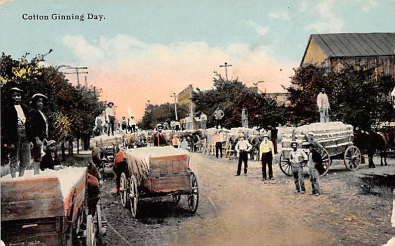 Cotton Ginning Day Cotton Related 1911 