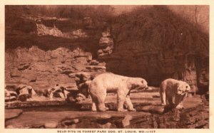 Vintage Postcard Bear Pits in Forest Park Zoo St. Louis Missouri MO Cageless