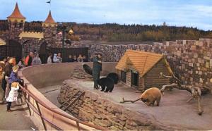 Storyland Valley Zoo Edmonton AB Alberta 3 Little Bears Vintage Postcard D5