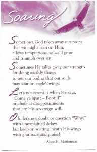 US Unused. Poem - Soaring.