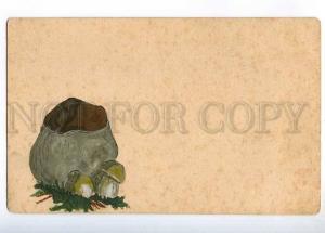 236208 RUSSIA POLAND mushrooms Vintage hand paint postcard