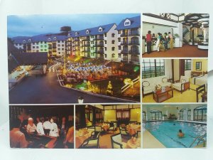 Strawberry Park Resort Cameron Highlands Postcard c1990 Perak Malaysia