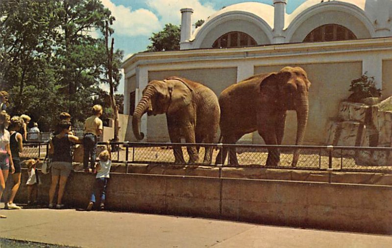 Cincinnati Zoo Cincinnati, Ohio OH