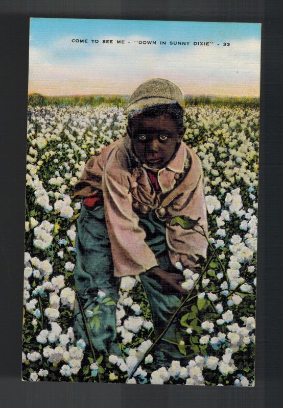 Mint Postcard Black Americana Boy Picking Cotton COme See Me Down in Sunny Dixie