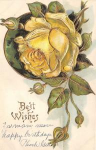 Birthday Greeting~Embossed Yellow Rose in Full Bloom~c1910 Postcard