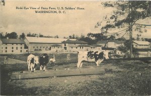 Postcard Washington DC Birdseye View Dairy Farm 23-10273