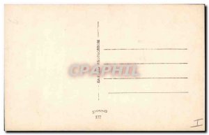 Old Postcard Cats Cat Kitten