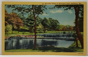 Salisbury Maryland Beautiful Scene in Municipal Park Postcard F17