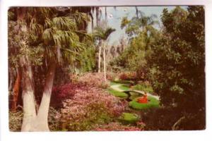 Woman in Red Dress, Walkways, Cypress Gardens, Florida, Used 1961