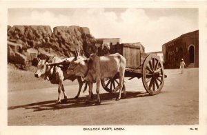 Lot284 bullock cart real photo  aden types folklore  yemen