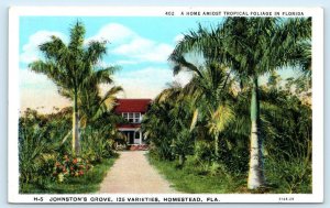 HOMESTEAD, FL ~ Citrus Fruit JOHNSTON'S GROVE c1920s Miami Dade County Postcard