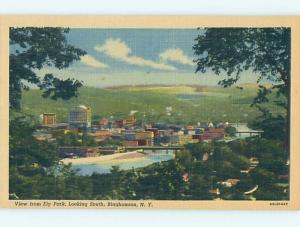 Unused Linen PANORAMIC VIEW OF TOWN Binghamton New York NY hk6477