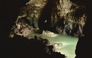 Vintage Postcard Interior Home of Stellar Sea Lions Cave Florence Oregon OR