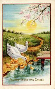Greeting - Easter. Ducks and Ducklings