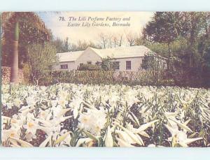 Old Postcard LILI PERFUME FACTORY Country Of Bermuda F5517