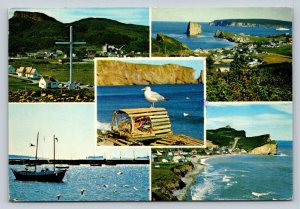 c1980 Gaspé Peninsula Quebec Canada 4x6 VINTAGE Postcard 0316