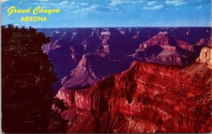 Grand Canyon Arizona AZ From Pima Point Postcard UNP VTG Petley Unused Vintage 