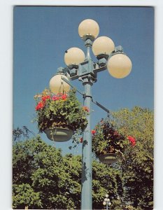 Postcard Flower Baskets, Victoria, Canada