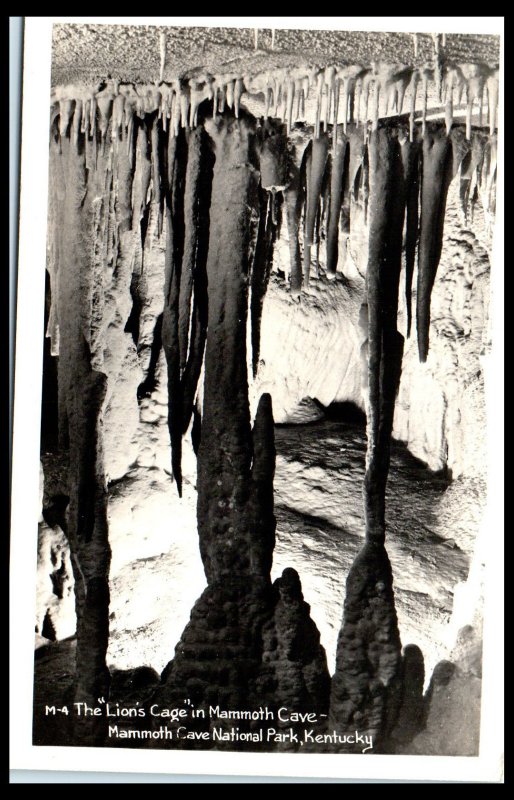 1930s Lion's Cage in Mammoth Cave KY Real Photo Postcard