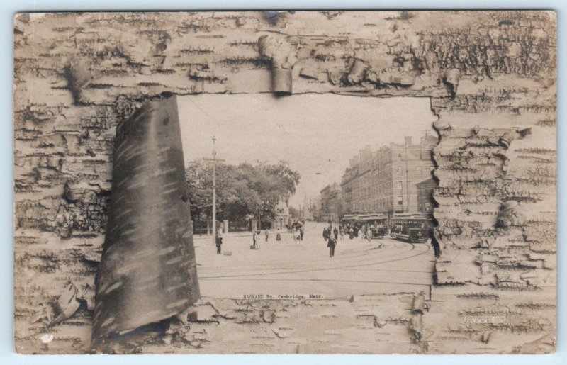 RPPC CAMBRIDGE, Massachusetts MA ~Faux Bark HARVARD SQUARE Street Scene Postcard