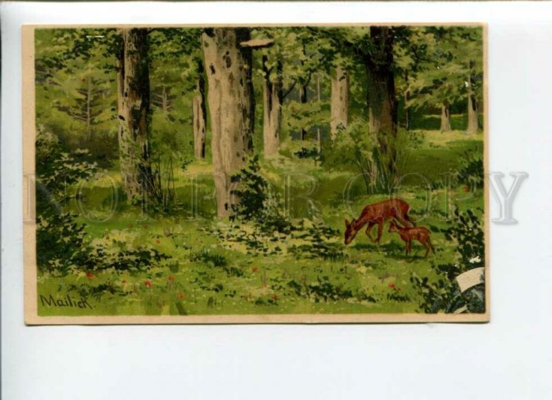 3170325 Summer HUNT Forest DEER by MAILICK vintage Color PC