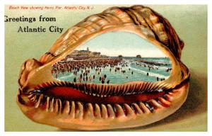 New Jersey , Atlantic City , Sea Shell Border , Beach scene