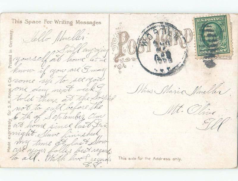 Divided-Back DEER AT PARK St. Louis Missouri MO c9321