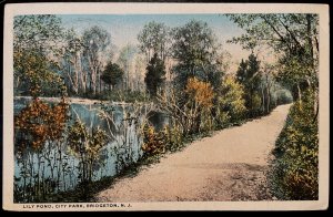 Vintage Postcard 1910 Lily Pond, City Park, Bridgeton, New Jersey (NJ)