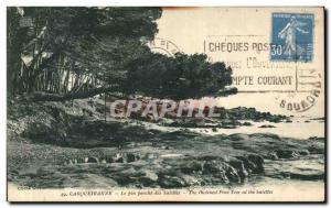 Old Postcard Carqueiranne Pine Bend Salettes