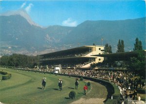 Horses racecourse Merano Italy hippodromo 1972 sport horses race postcard