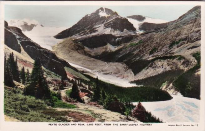 Canada Peyto Glacier and Peak From Banff-Jasper Highway 1953 Real Photo