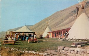 Vintage Postcard Hodgson's Western Chuck Wagon Wigwam Village Jackson WY