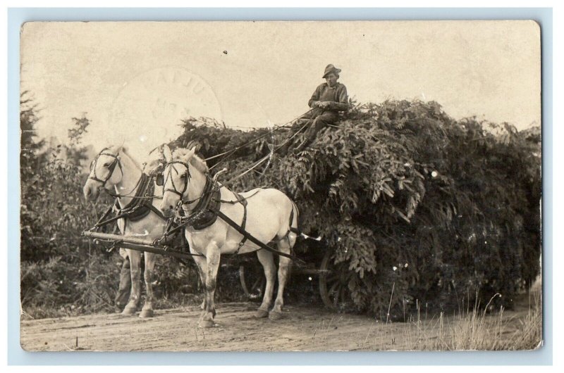 1912 Giant Brush Load Horse Wagon Sultan Washington WA RPPC Photo Postcard 