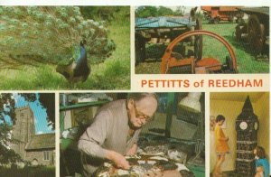 Norfolk Postcard - Pettitts of Reedham - Ref TZ6837
