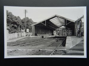 Devon TAVISTOCK RAILWAY STATION Locomotive c1950/60's Real Photograph 4