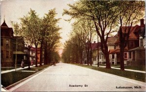 Postcard Academy Street in Kalamazoo, Michigan~135417